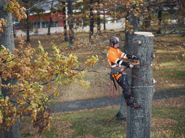 Husqvarna 550i XP G akkus láncfűrész