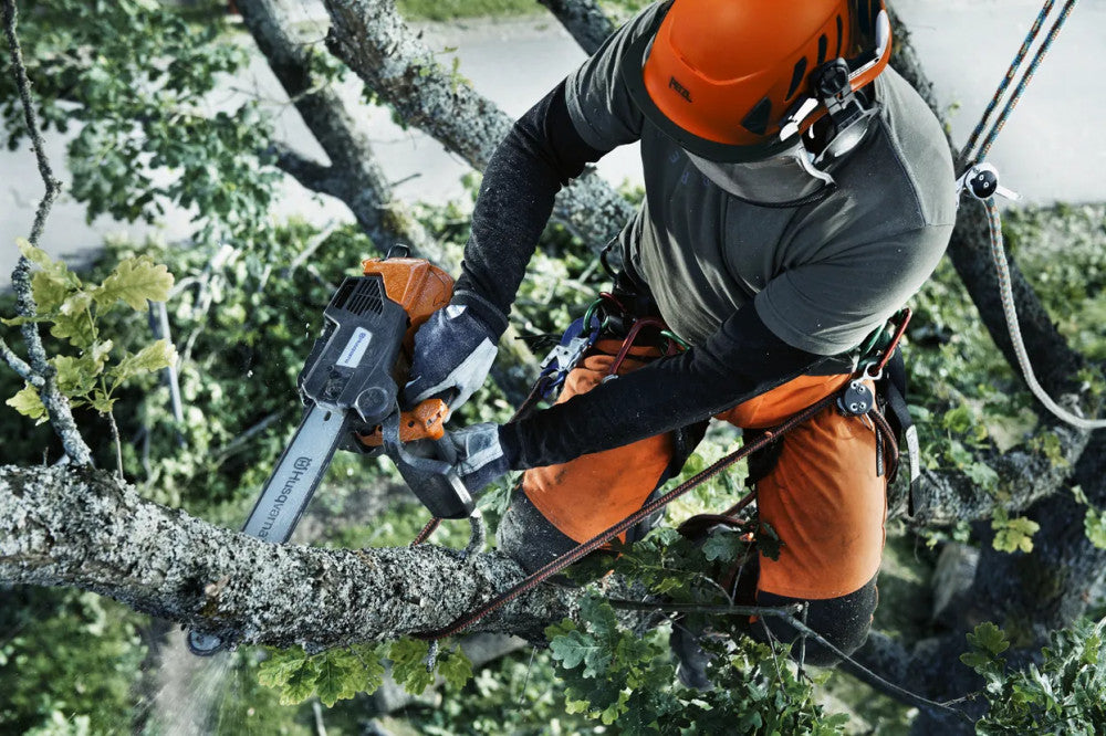Husqvarna T540 XP II láncfűrésszel ágat vágó arborista a fa koronájában