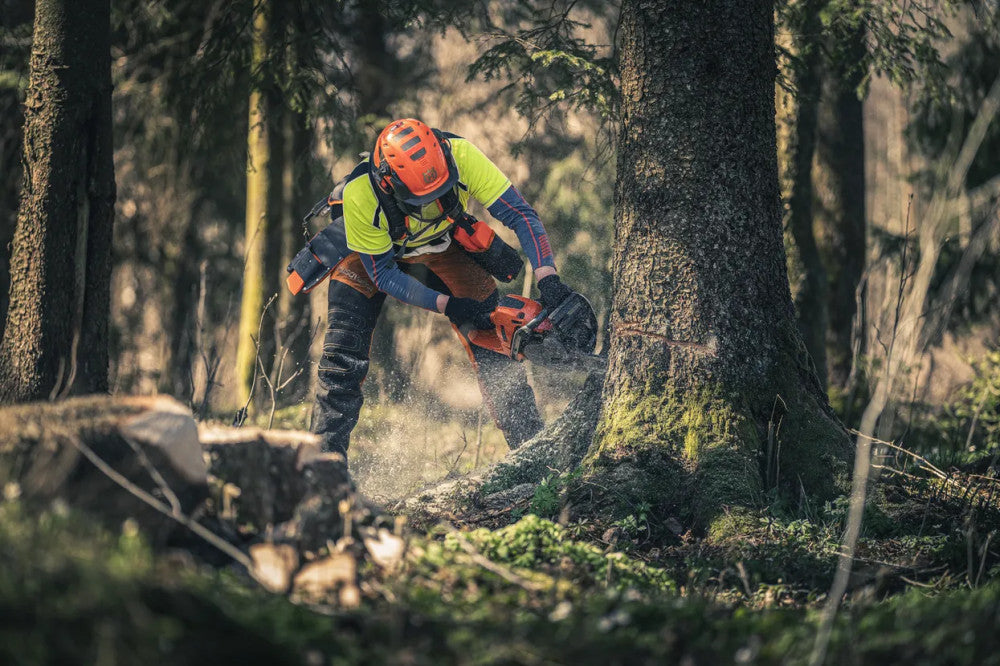 Husqvarna 560 XP láncfűrésszel fát döntő favágó fenyvesben