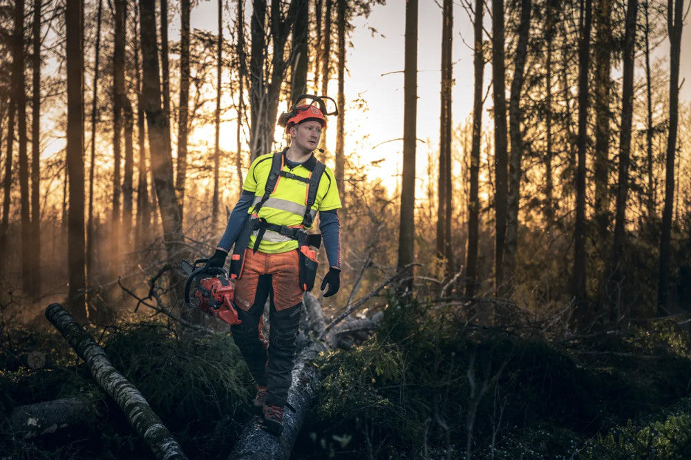Favágó a Husqvarna 560 XP láncfűrésszel naplementében, ledöntött törzsön