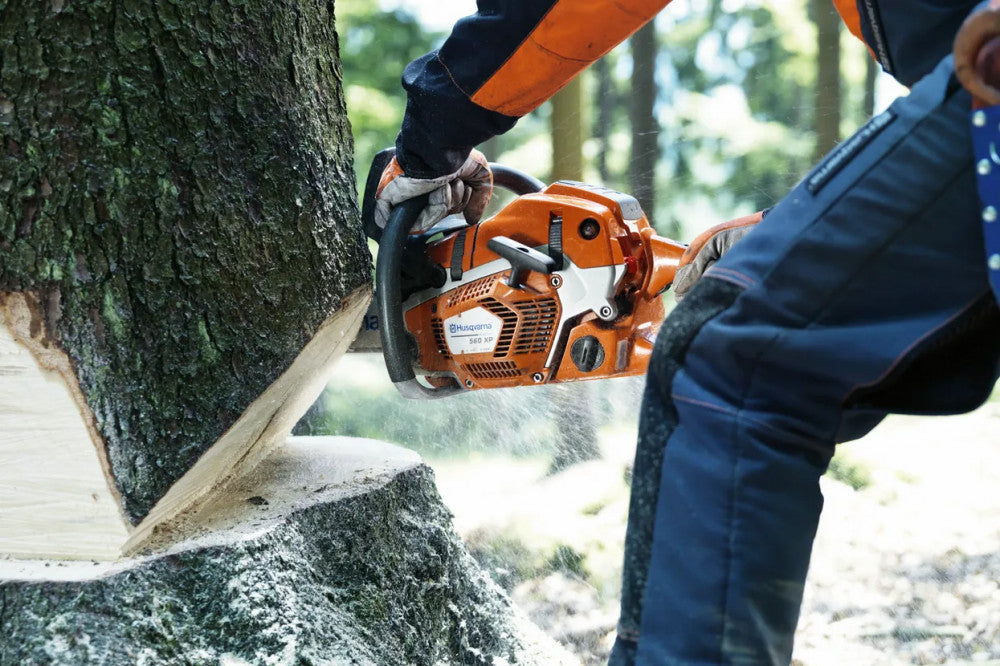 Husqvarna 562 XP láncfűrésszel dolgozó favágó lombos erdőben