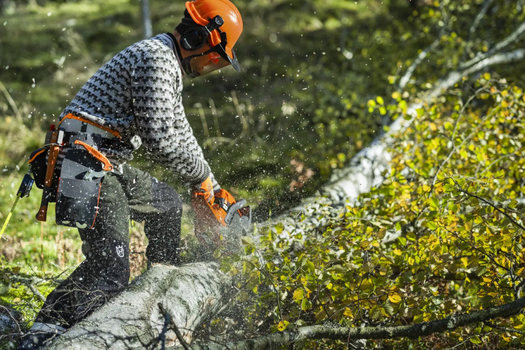 Husqvarna 450S láncfűrésszel hajkot vágó felhasználó fatörzsön