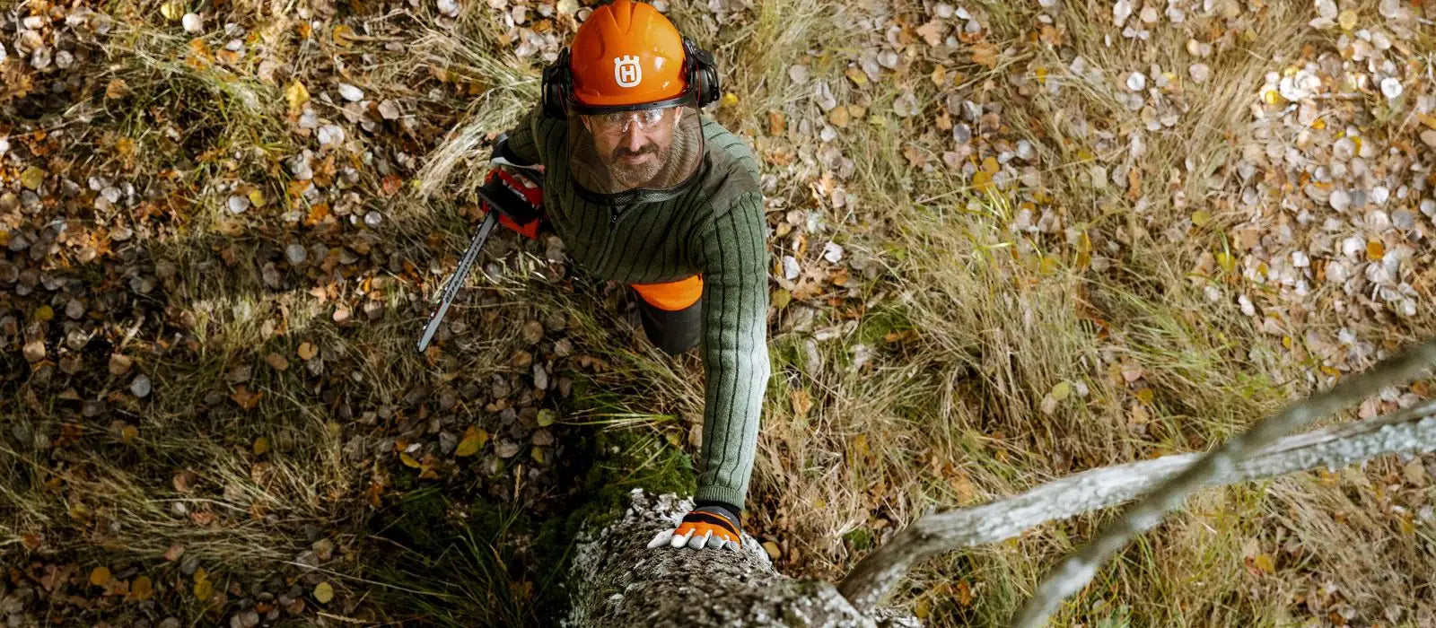 Husqvarna láncfűrész őszi erdőben