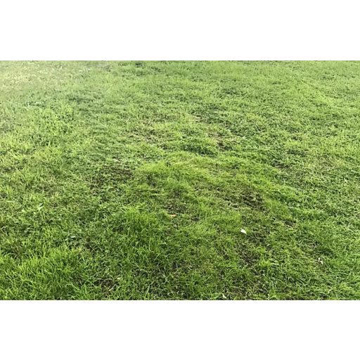 Husqvarna Automower® Hybrid Grass Kit 1x1 m